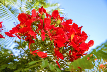 Similar image 19189055