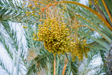 Similar image 19192756