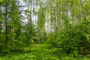 Similar image 19192203