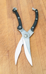 Similar image 19192276