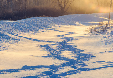 Similar image 19192299