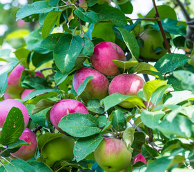 Similar image 19192324