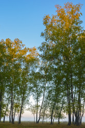 Similar image 19192358