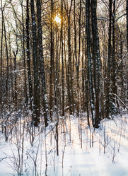 Similar image 19192386