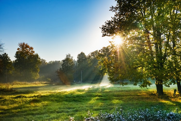 Similar image 19192387