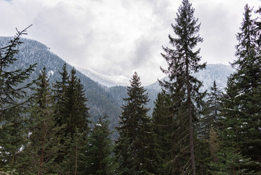 Similar image 19192459