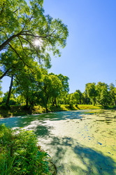 Similar image 19192497