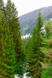 Similar image 19192531