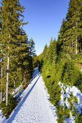 Similar image 19192546