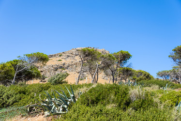 Similar image 19192562