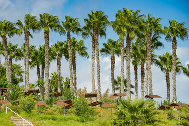 Similar image 19192564