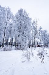 Similar image 19192631