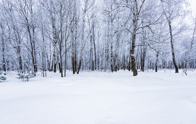 Similar image 19192695