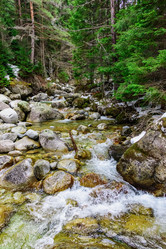 Similar image 19192750