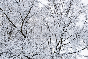 Similar image 19192752