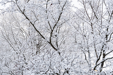 Similar image 19192751