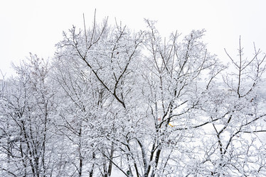 Similar image 19192768