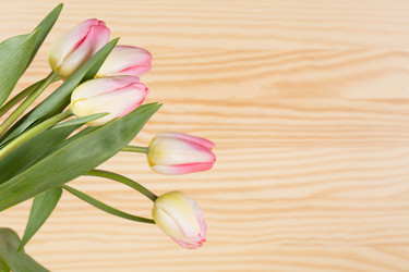 Similar image 19199853