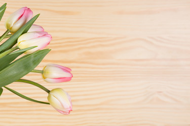 Similar image 19199854