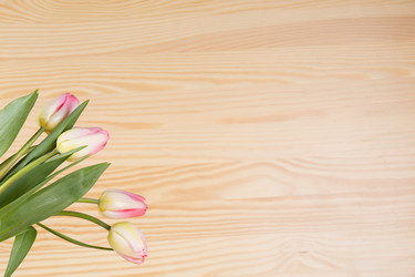 Similar image 19199858