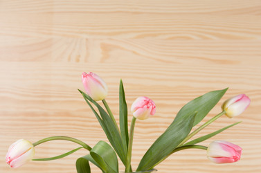 Similar image 19199861