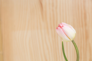 Similar image 19199864