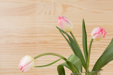 Similar image 19199867