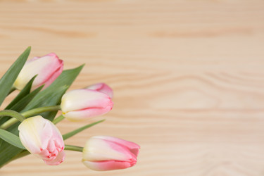 Similar image 19199870