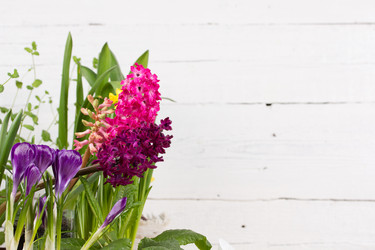 Similar image 19199869