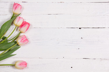 Similar image 19199878