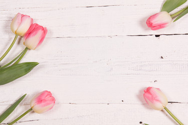 Similar image 19199881