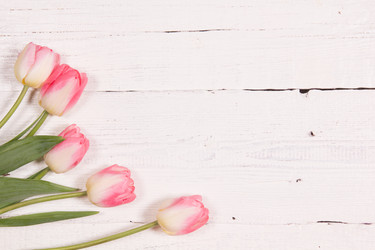 Similar image 19199884