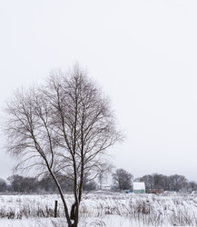 Similar image 19189382