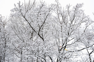 Similar image 19189401