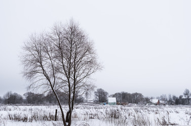 Similar image 19189403