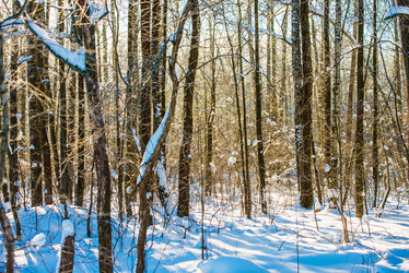 Similar image 19189461