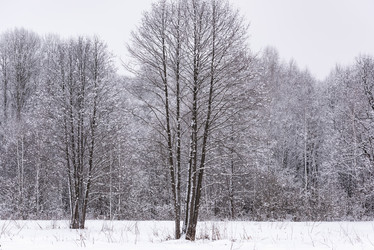 Similar image 19189505