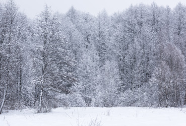 Similar image 19189508