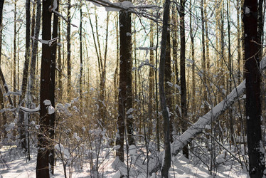 Similar image 19189529