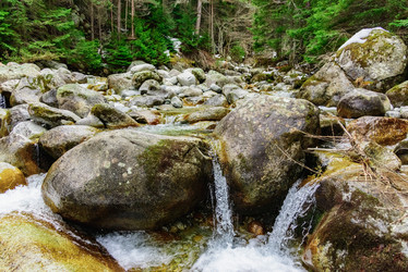 Similar image 19189573