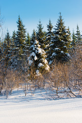 Similar image 19189590