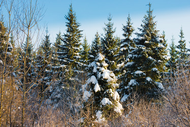 Similar image 19189611