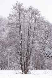 Similar image 19189617