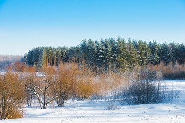 Similar image 19189636