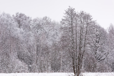 Similar image 19189637