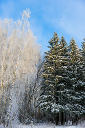 Similar image 19189655