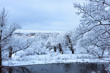 Similar image 19189848