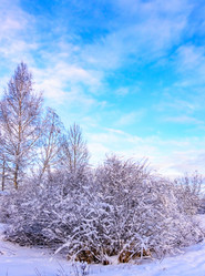 Similar image 19189810