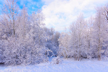 Similar image 19189864