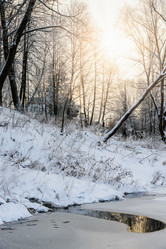 Similar image 19191929